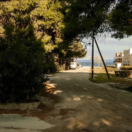 Vila Summer House