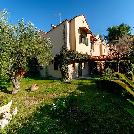 Vila Summer House